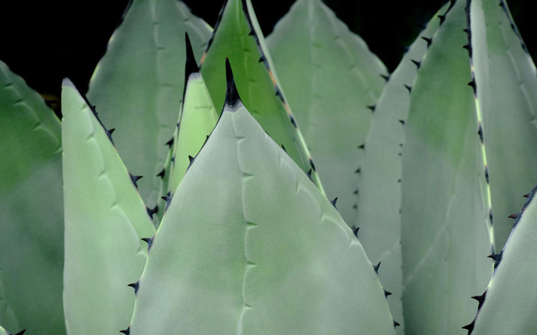 可以假装很严肃，但不能假装很诙谐