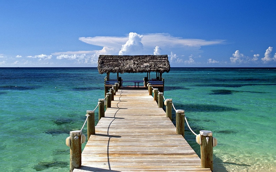 从远处望你，是我情非得已