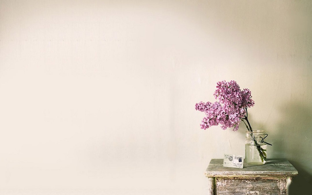 花开了，相爱吧