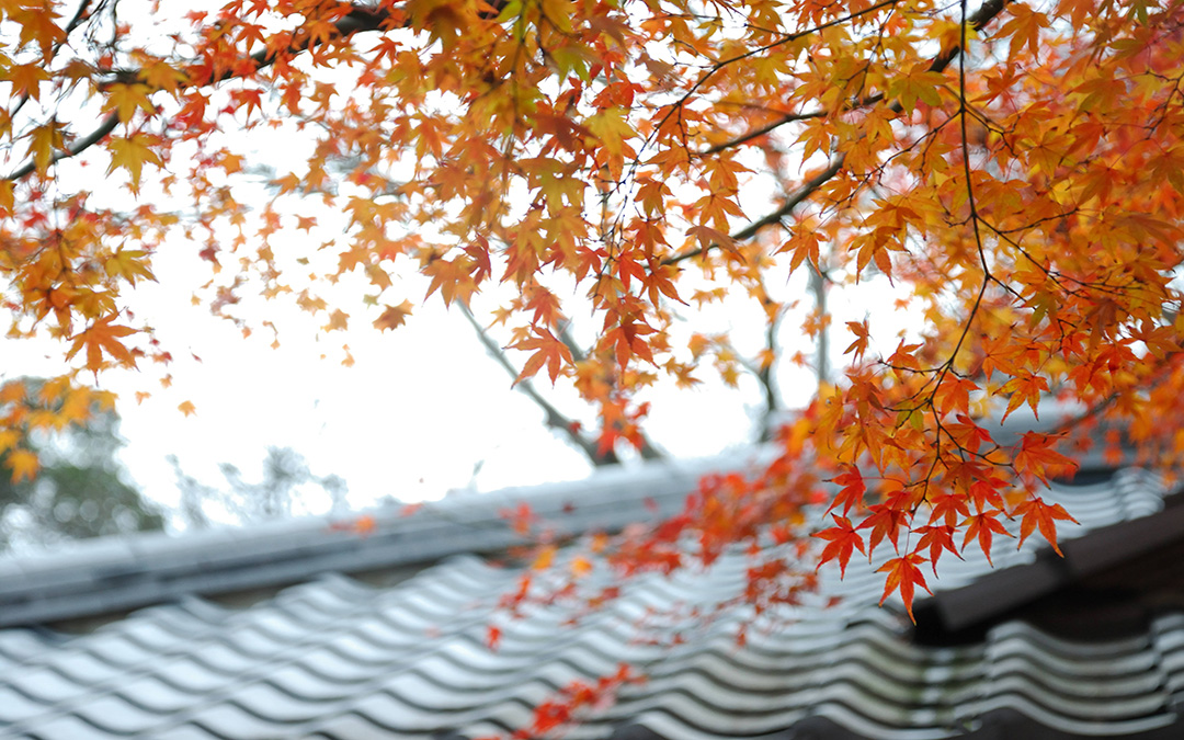 让我的心在安静中沸腾