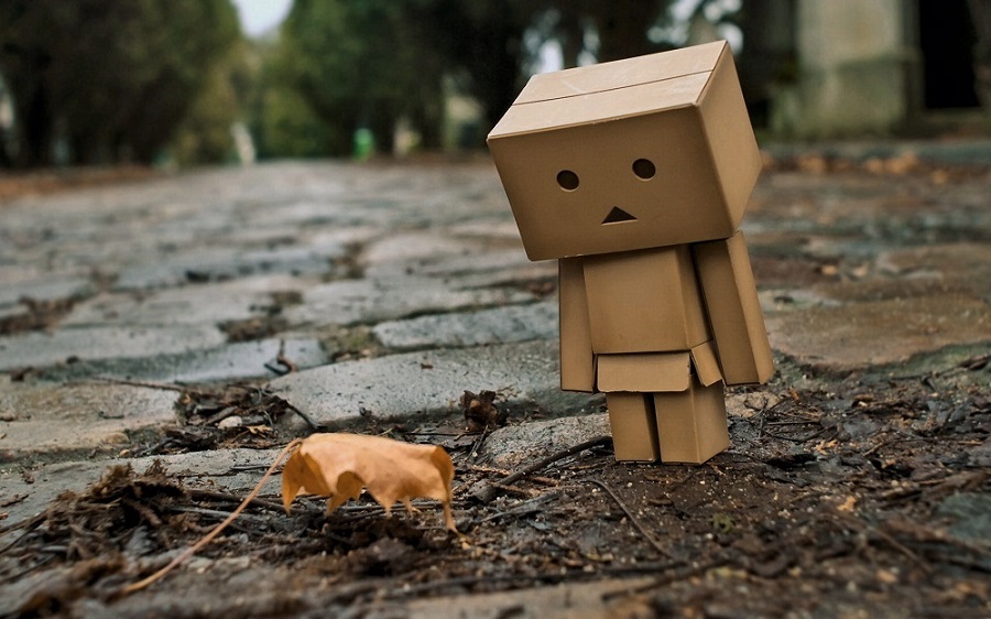 搞不清我们之间，这一种暧昧的晴朗