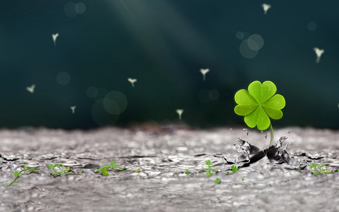 改变生活，从每天早睡一小时开始