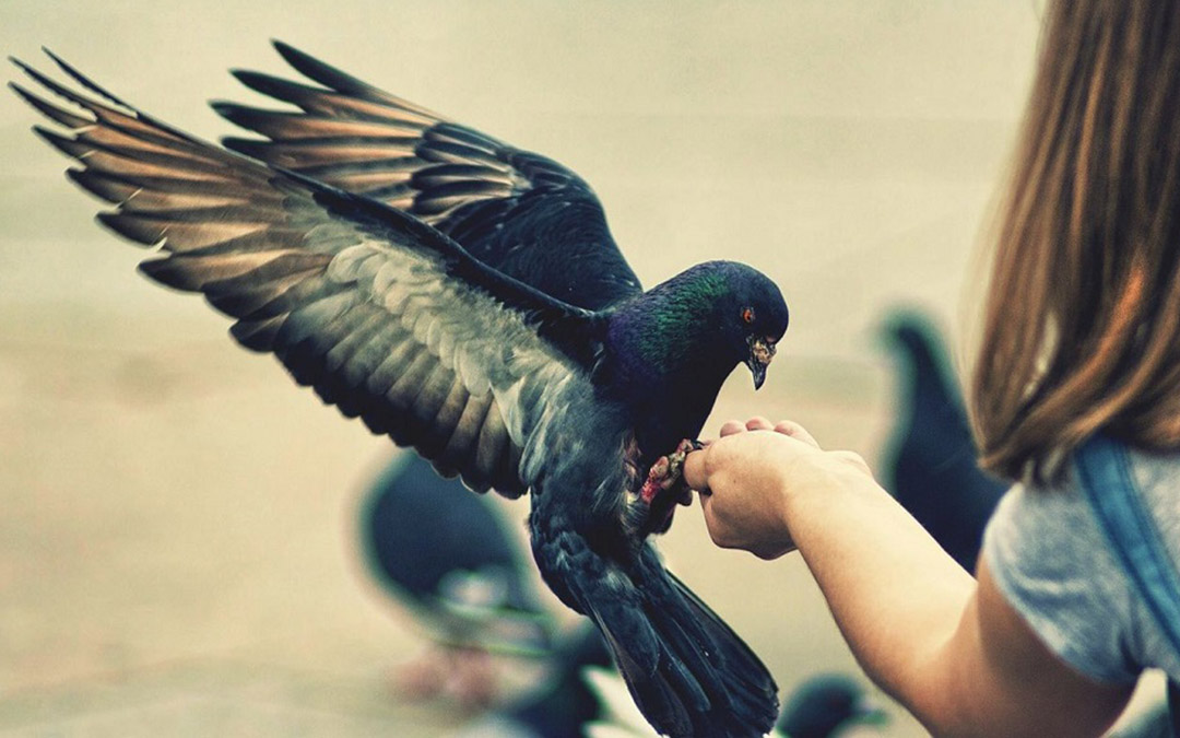 凡事都有寓意，只要用心去想