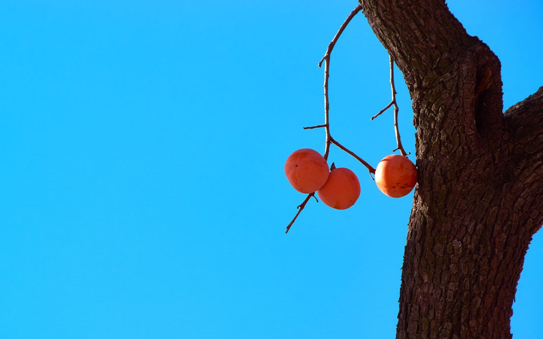 祝你们幸福是假的，祝你幸福是真的