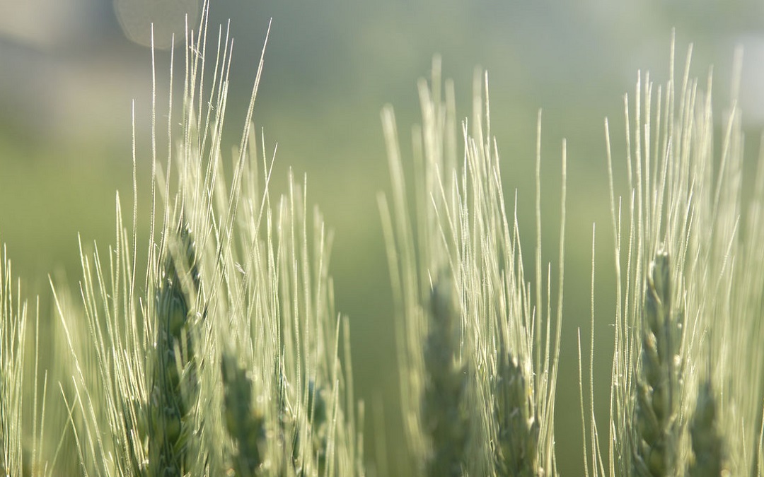 在最没能力的年纪，碰见了想照顾一生的人