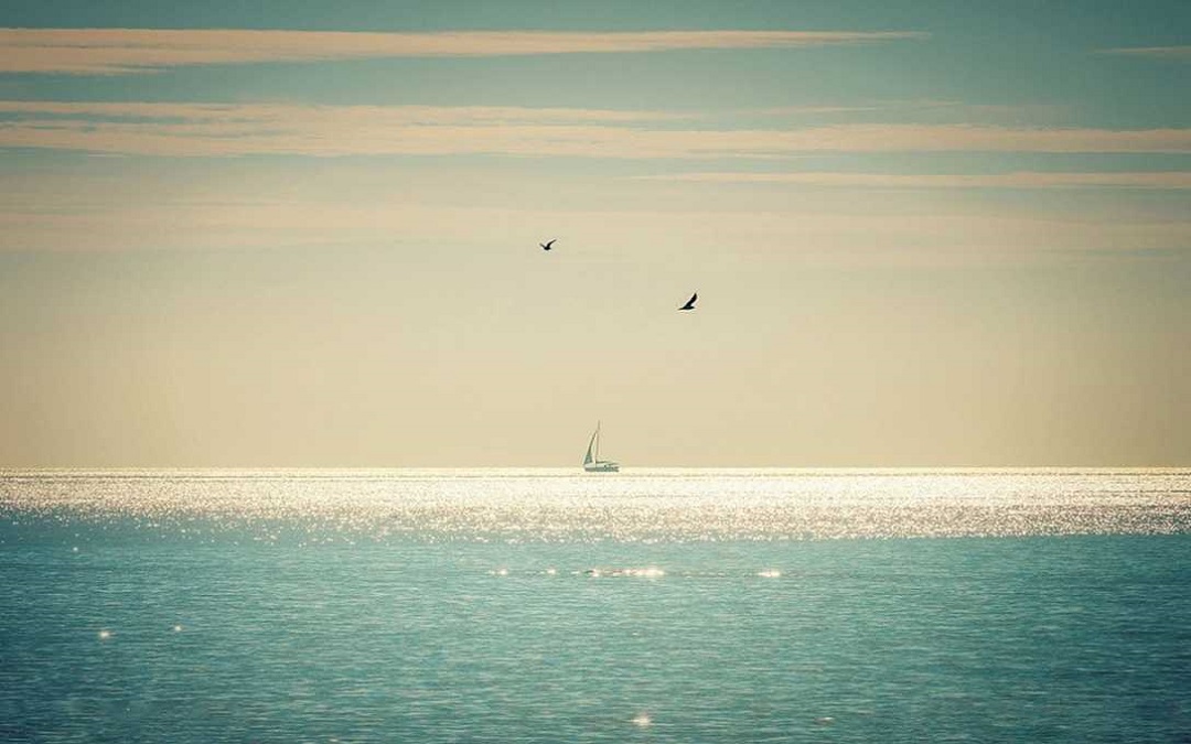 总有人偷偷爱着你