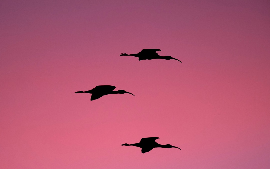 你虽然在微笑，其实很伤心