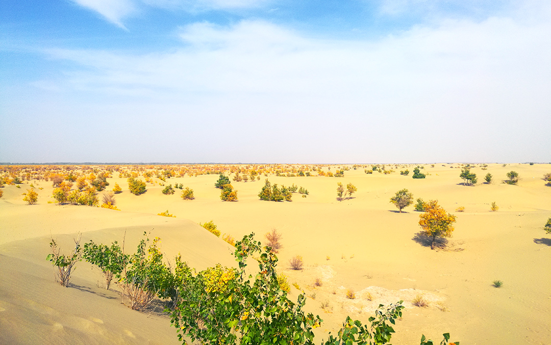 人生自是有痴情，此恨不关风与月